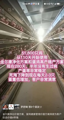51600ֻ280ȶ2-3ֻ