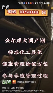 Χڼֵ۵ 105000ֻ