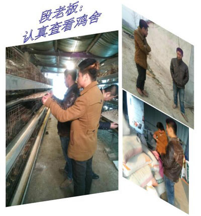 ʦ鿴-400.jpg