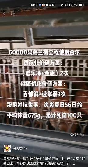 03-60000ֻ.jpg